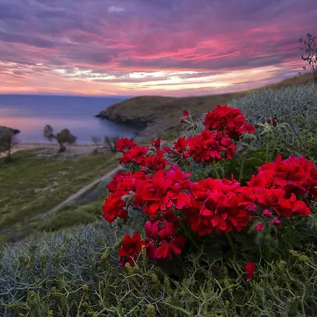 別荘 Agelos Beachfront *