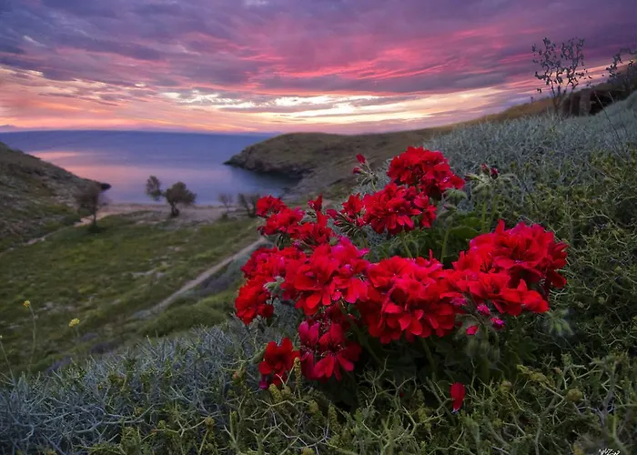 Casa vacanze Agelos Beachfront *